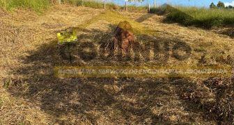 CI419- Oportunidade! Lote à Venda no Mirante da Serra II – Quadra 7, Lote 4 .